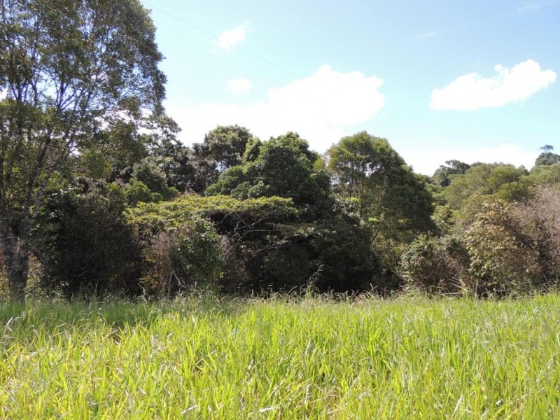 Lot 289 Ware Road, Topaz QLD 4885