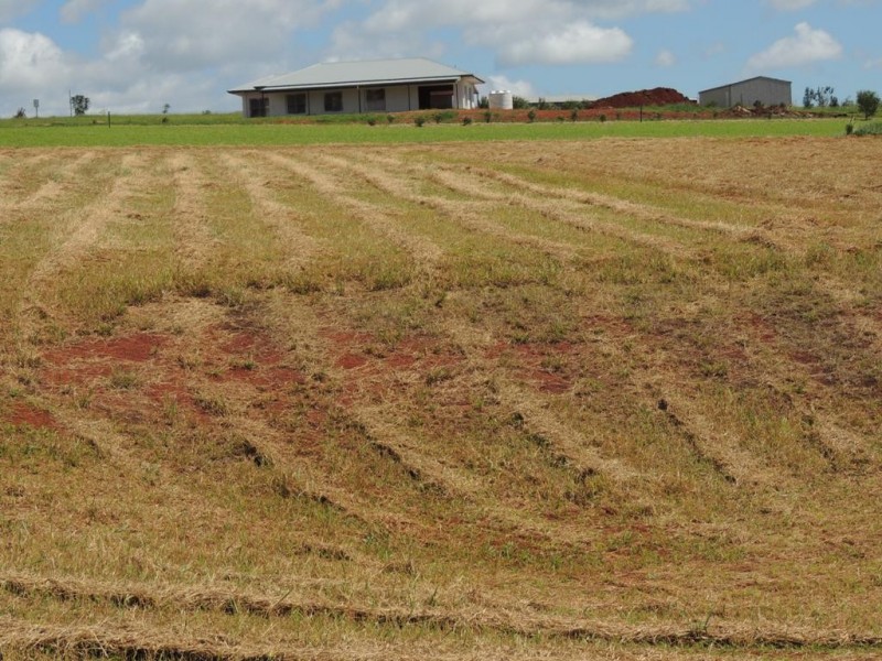 Malanda QLD 4885