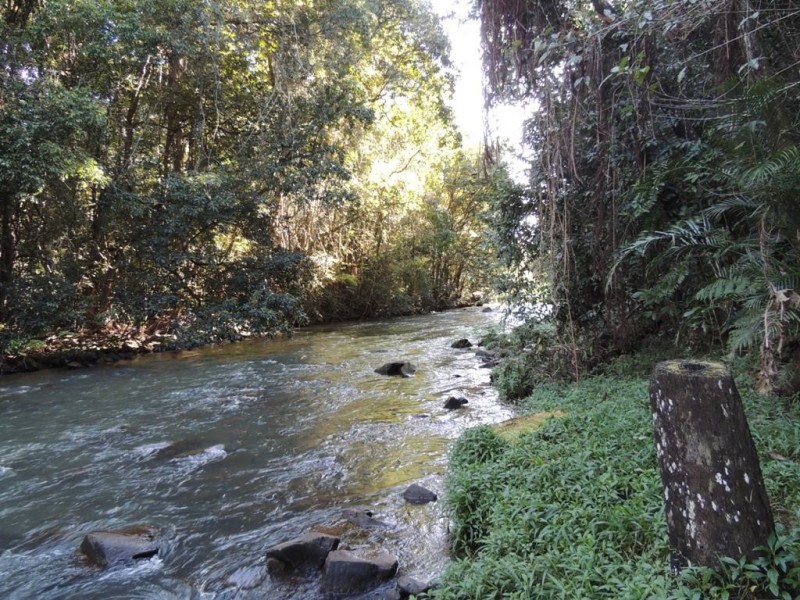 Malanda QLD 4885