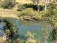 Innot Hot Springs QLD 4872