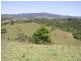 Millaa Millaa QLD 4886