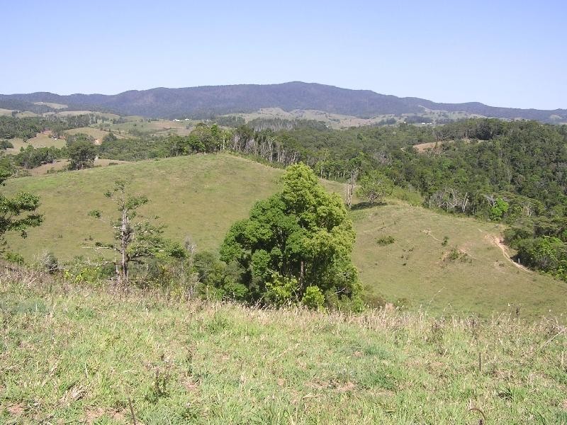 Millaa Millaa QLD 4886
