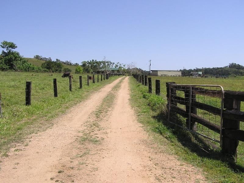 Millaa Millaa QLD 4886