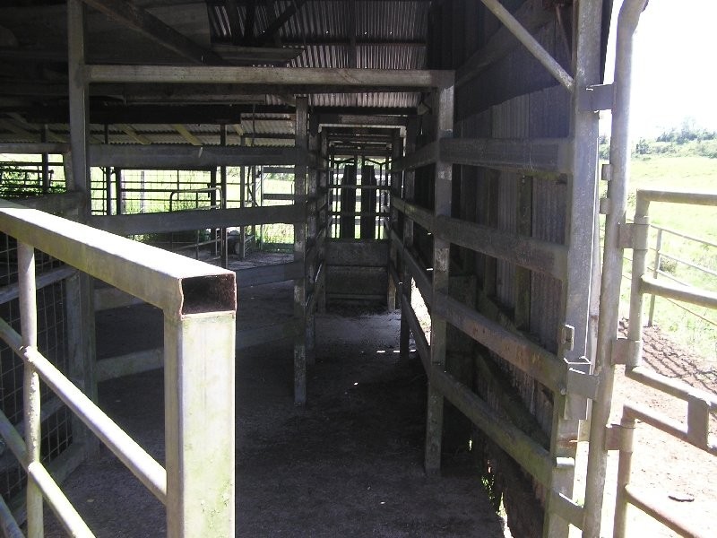 Millaa Millaa QLD 4886