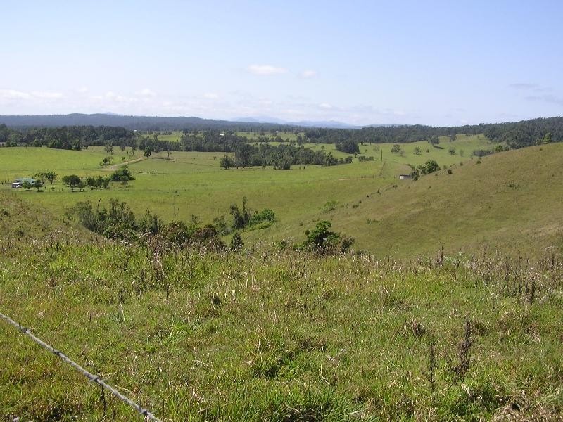 Millaa Millaa QLD 4886