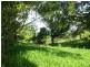 Millaa Millaa QLD 4886
