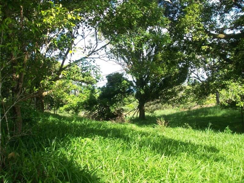 Millaa Millaa QLD 4886