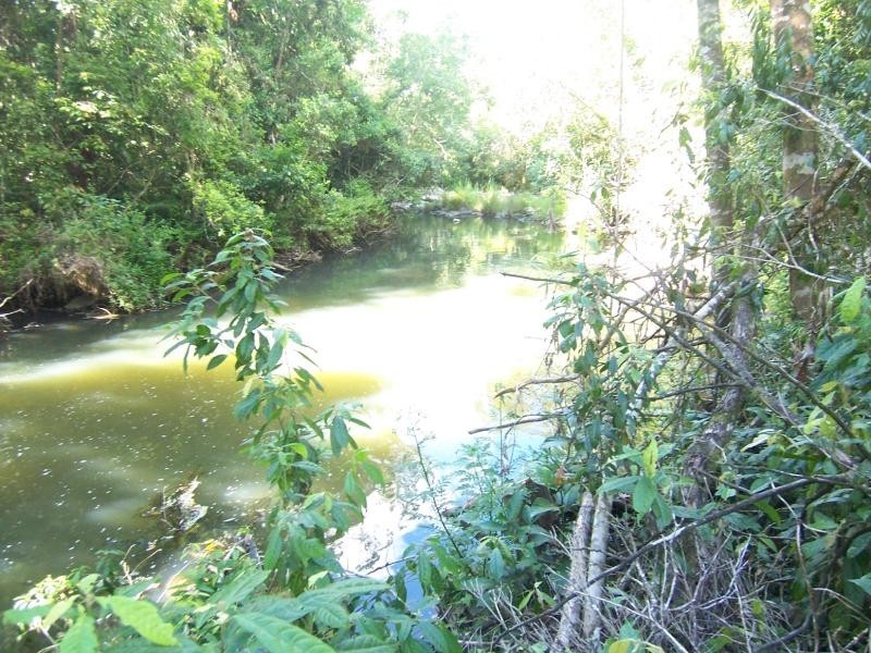 Millaa Millaa QLD 4886