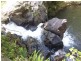 Millaa Millaa QLD 4886