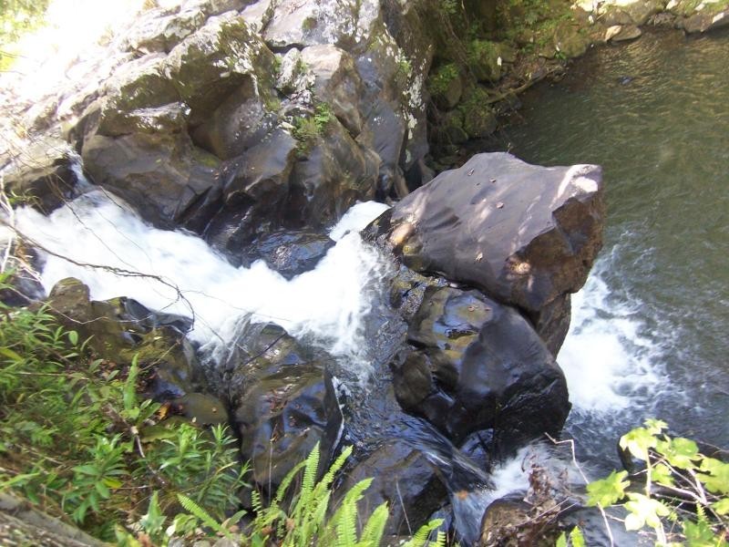 Millaa Millaa QLD 4886