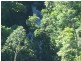 Millaa Millaa QLD 4886