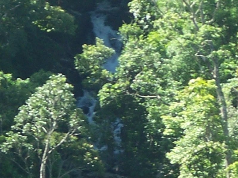 Millaa Millaa QLD 4886