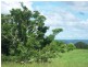 Millaa Millaa QLD 4886