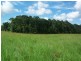 Millaa Millaa QLD 4886