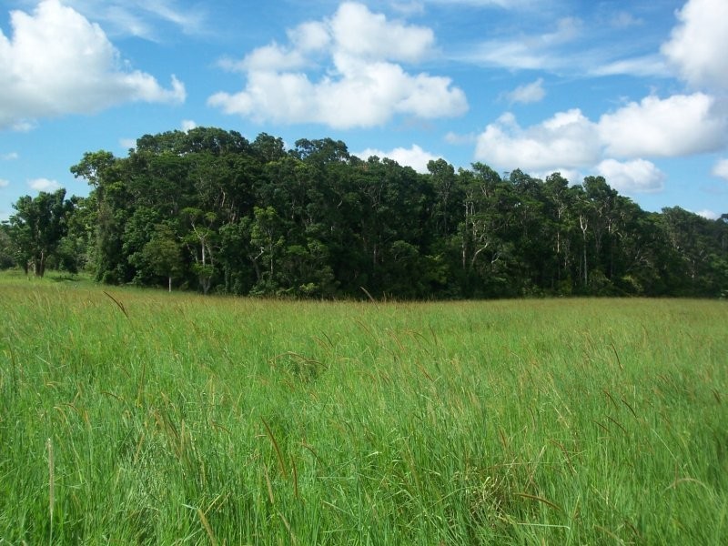 Millaa Millaa QLD 4886