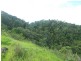 Millaa Millaa QLD 4886