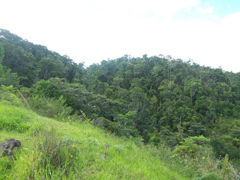 Millaa Millaa QLD 4886