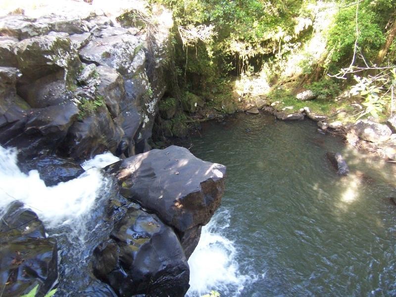 Millaa Millaa QLD 4886
