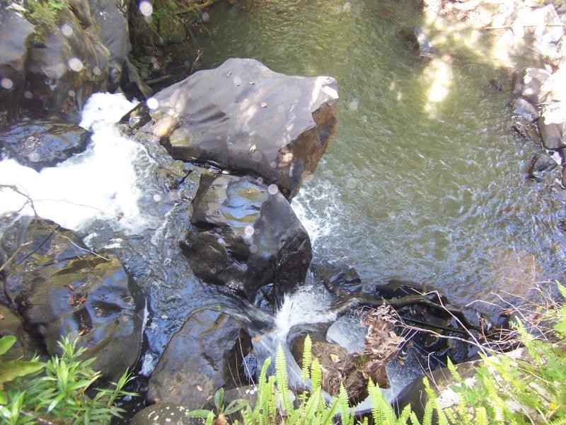 Millaa Millaa QLD 4886