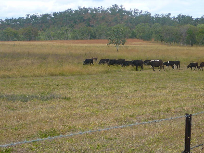 Mareeba QLD 4880