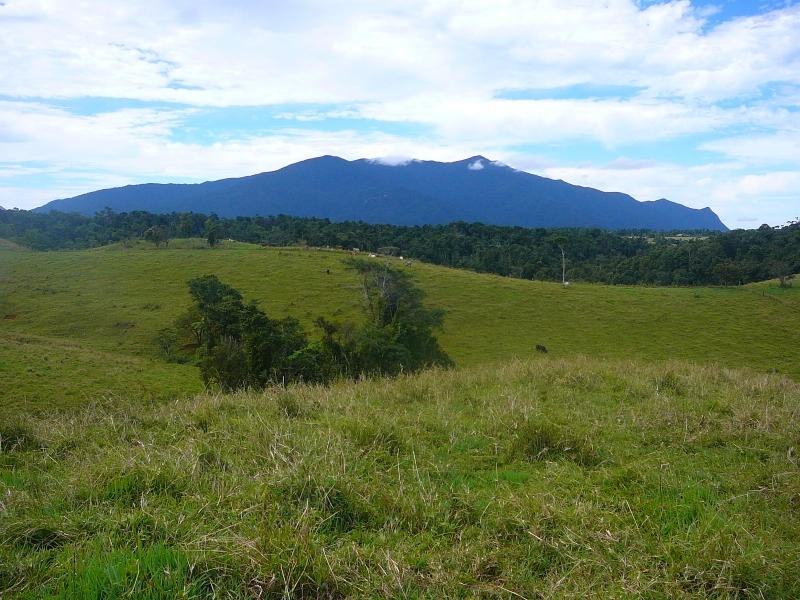 Malanda QLD 4885