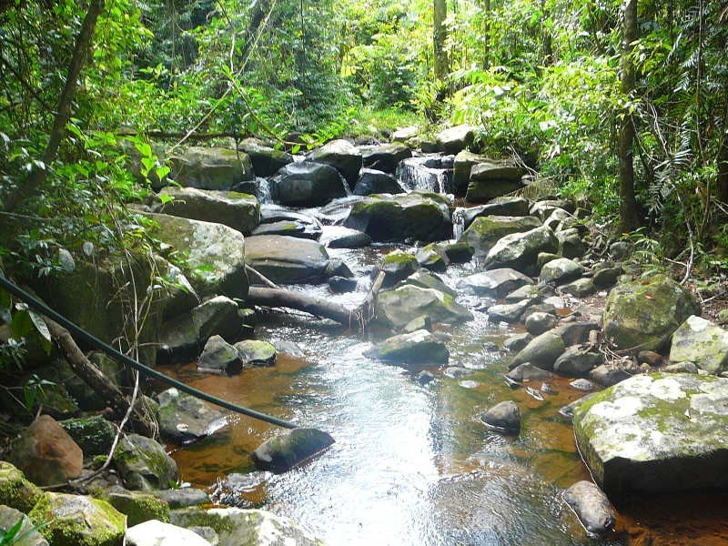 Malanda QLD 4885