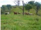 Malanda QLD 4885