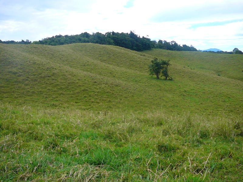 Malanda QLD 4885