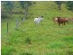 Malanda QLD 4885