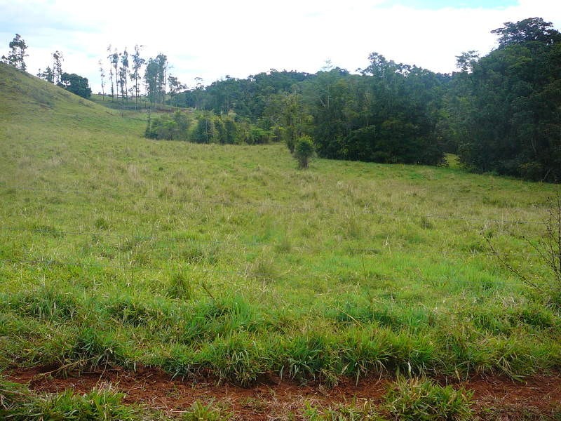 Malanda QLD 4885