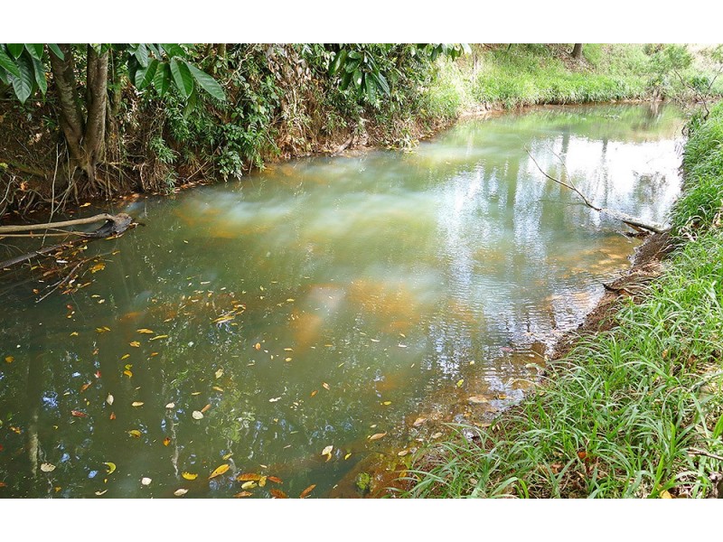 169 Merragallan Road, Malanda QLD 4885