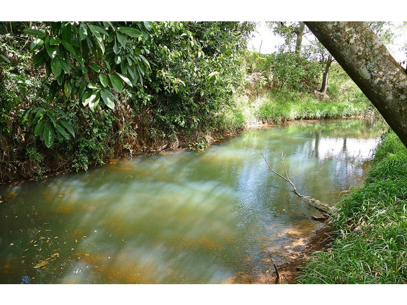 169 Merragallan Road, Malanda QLD 4885