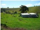 Millaa Millaa QLD 4886