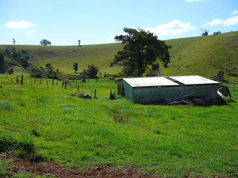 Millaa Millaa QLD 4886