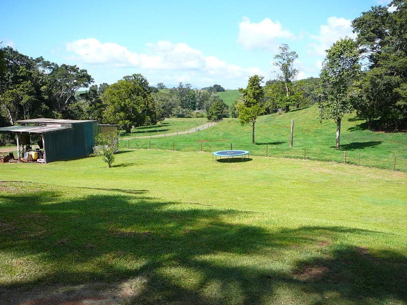 Millaa Millaa QLD 4886