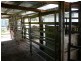 Millaa Millaa QLD 4886