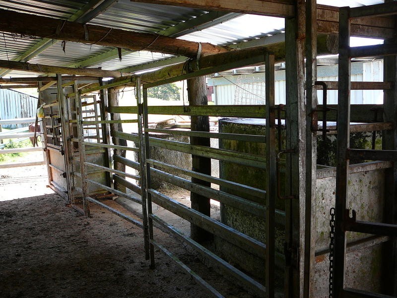 Millaa Millaa QLD 4886