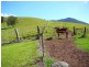 Millaa Millaa QLD 4886