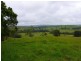 Millaa Millaa QLD 4886