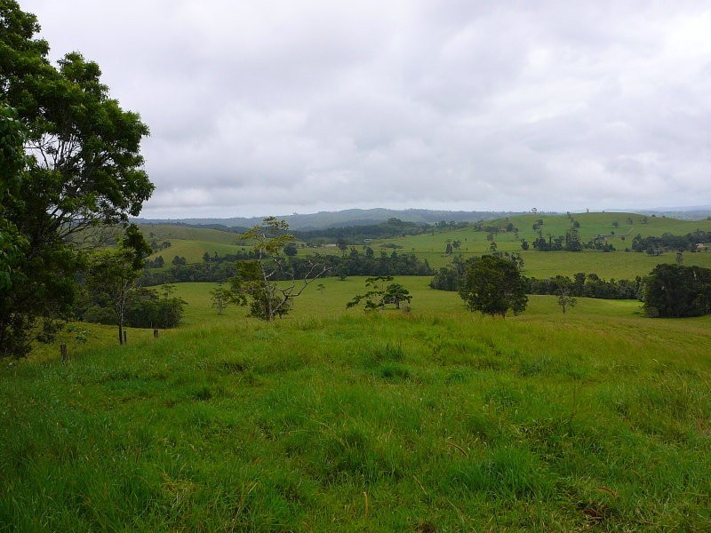 Millaa Millaa QLD 4886