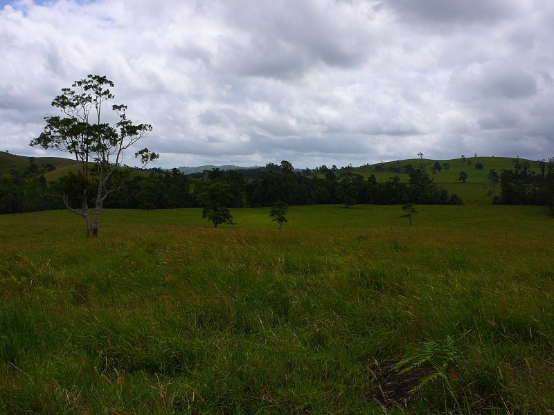 Millaa Millaa QLD 4886
