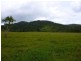 Millaa Millaa QLD 4886