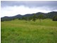 Millaa Millaa QLD 4886