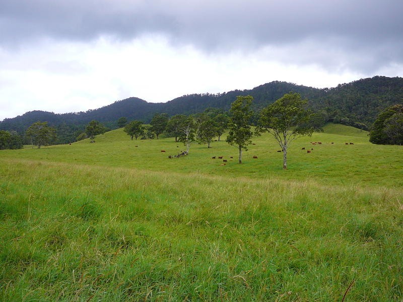 Millaa Millaa QLD 4886