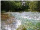 Millaa Millaa QLD 4886