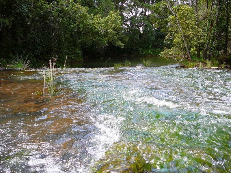 Millaa Millaa QLD 4886