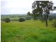 Millaa Millaa QLD 4886