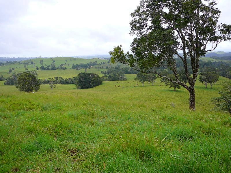 Millaa Millaa QLD 4886