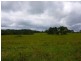 Millaa Millaa QLD 4886