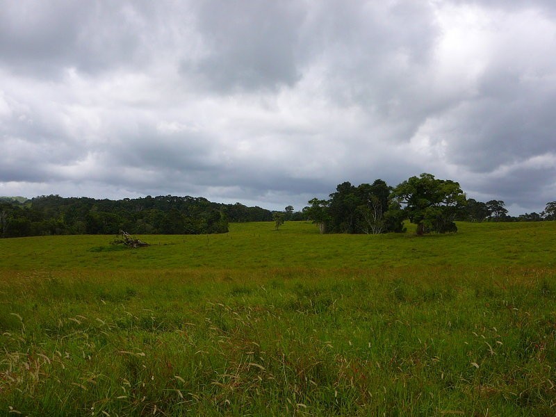 Millaa Millaa QLD 4886